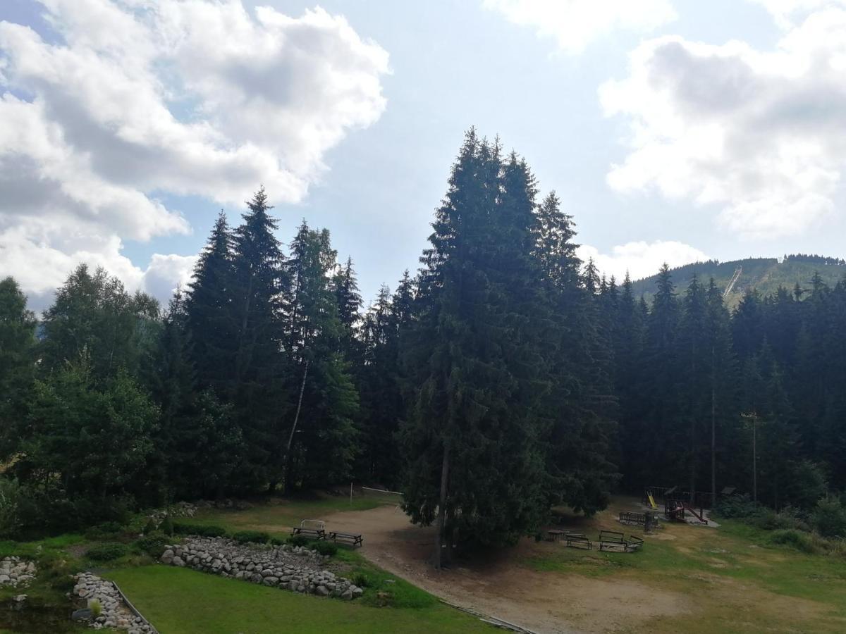 Penzion Bila Voda Гаррахов Экстерьер фото